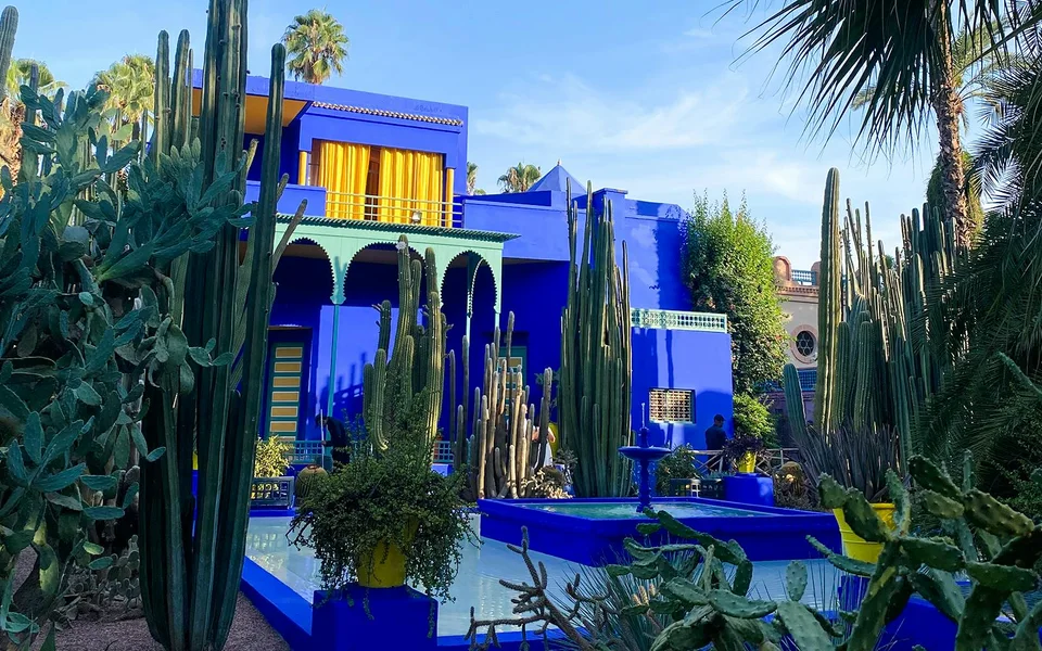 Cobalt-blue garden building framed by tall cacti at Jardin Majorelle